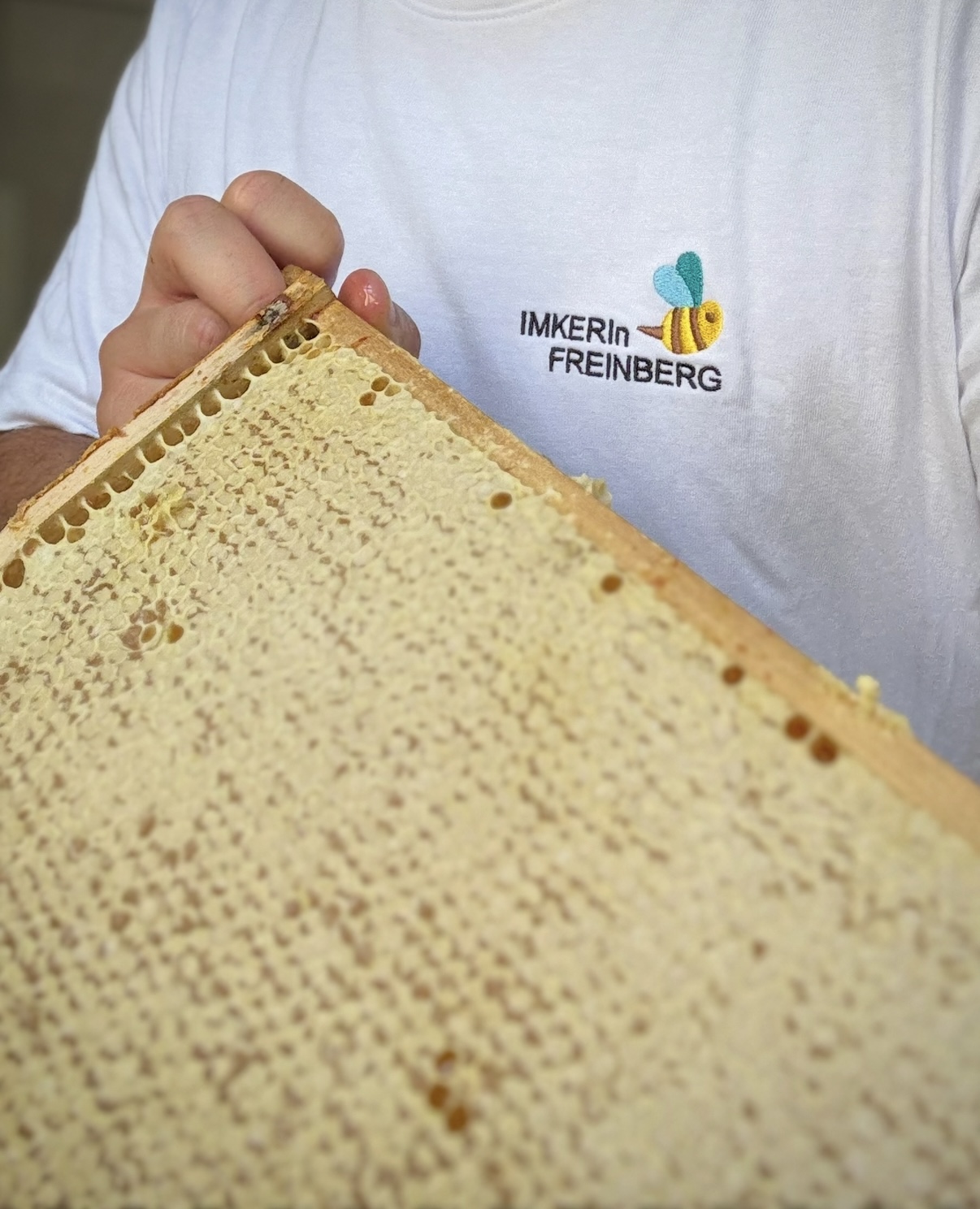 Imker hält eine verdeckelte Honigwabe